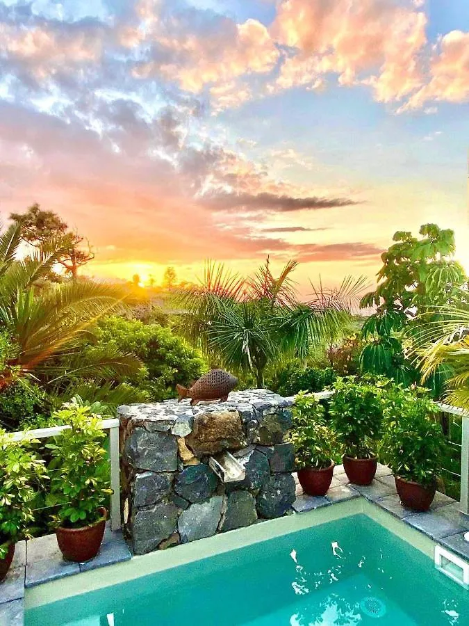 Casa Plumeria, A Private Paradise With Pool. La Orotava Holiday home